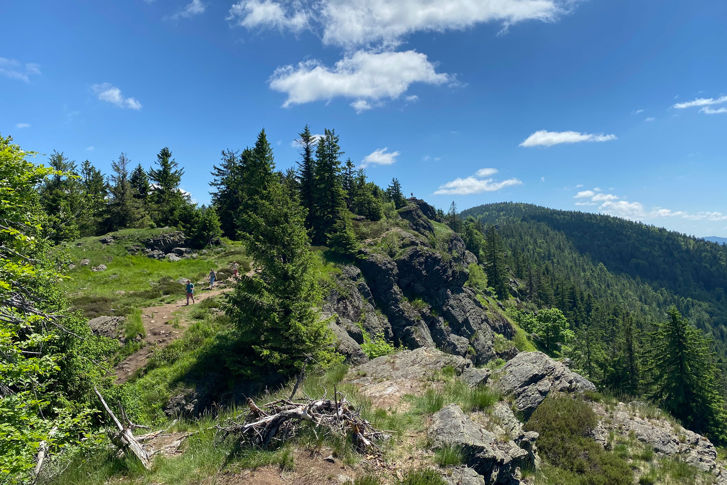 Urlaub im Bayerischen Wald